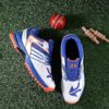 Men's Cricket Shoes
